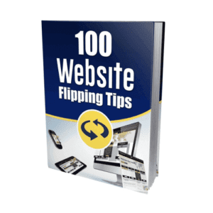 100 Website Flipping Tips - PLR Raport