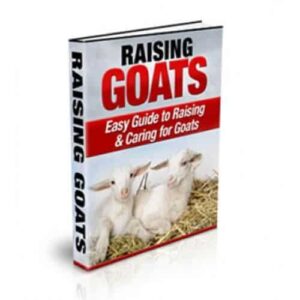 Raising Goats