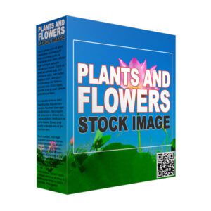 Plants and Flowers Stock Images