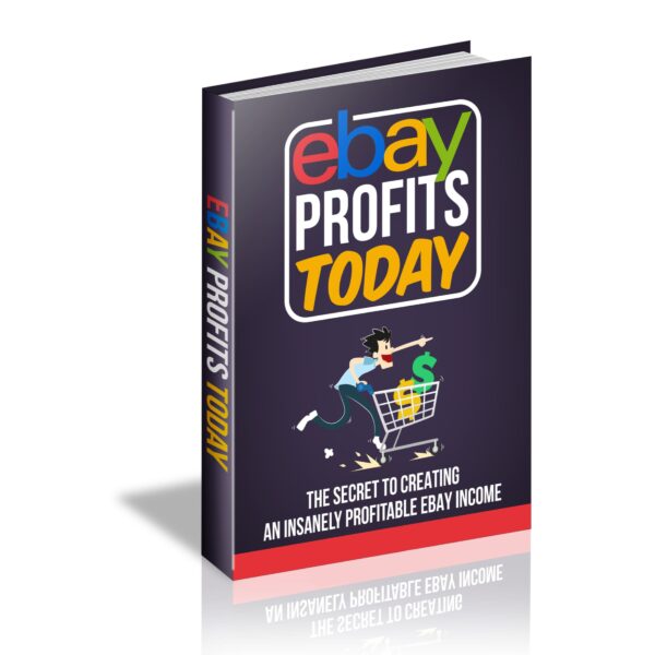 Ebay Profits