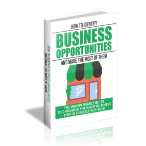 How To Identify Business Opportunities And Make The Most Of Them (Limited Edition)