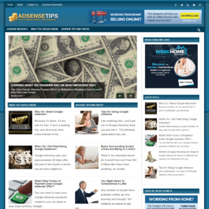 Adsense Blog - PreMade WordPress Blog