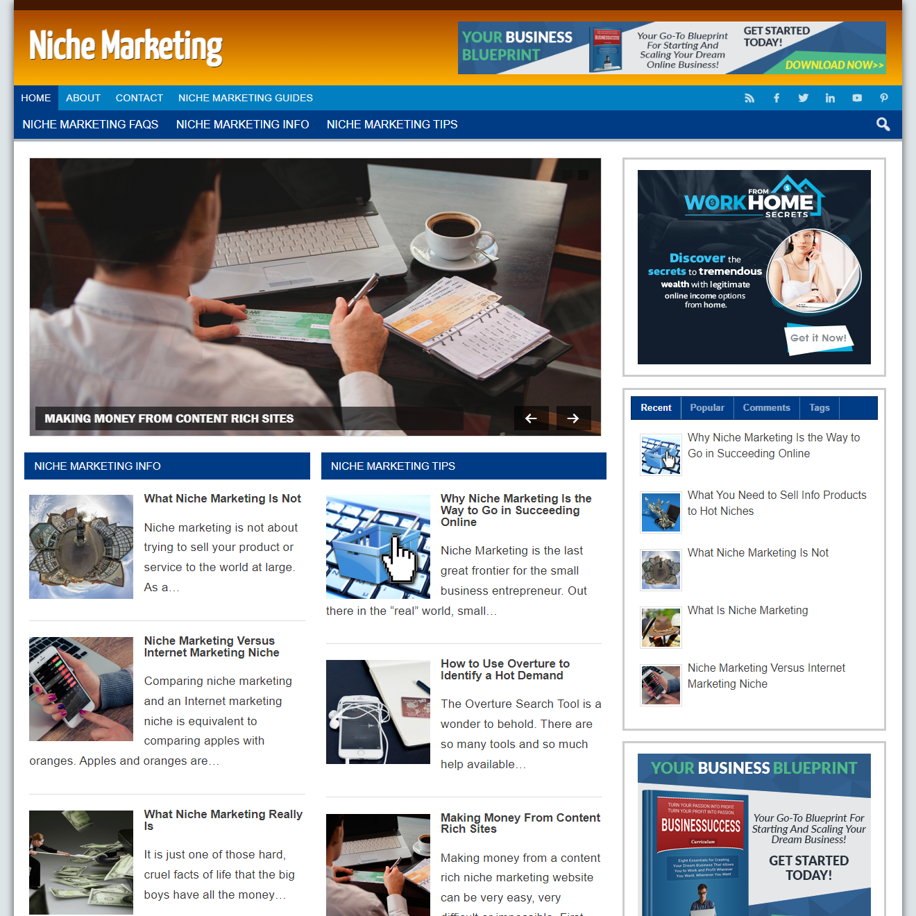 Niche Marketing - PreMade WordPress Blog