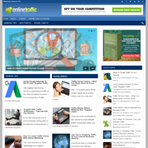 Online Traffic - PreMade WordPress Blog