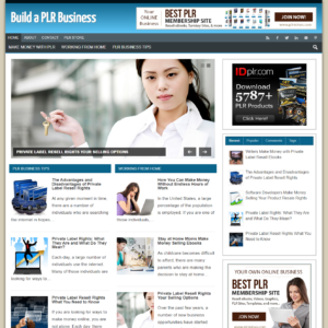 PLR Business - PreMade WordPress Blog