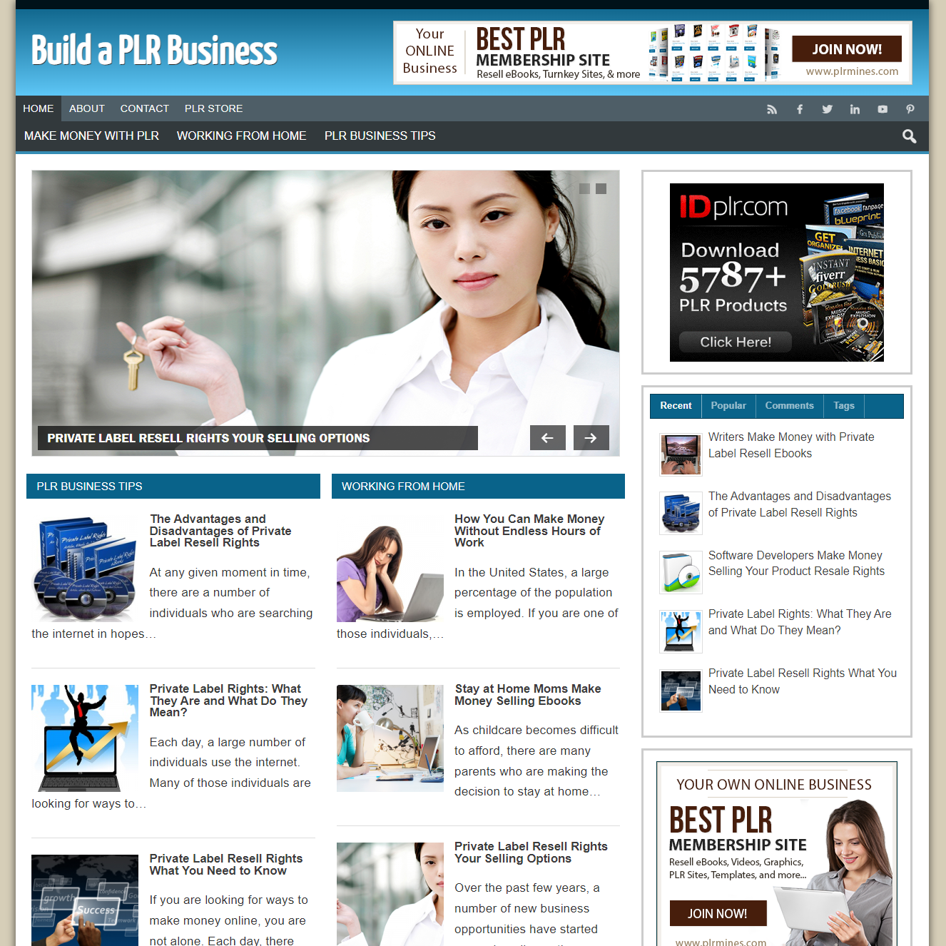 PLR Business – PreMade WordPress Blog – Digital Products Pro